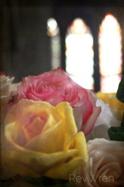 Processed with Rookie Cam